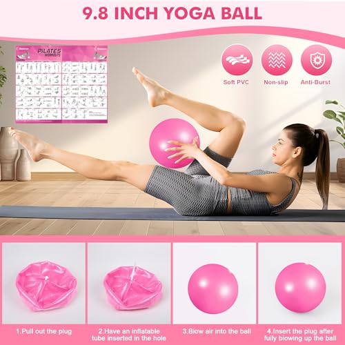 Goocrun Pilates Ring Set Exercise Equipment, with Exercise Resistance Bands Set, Pilates Ball, Sliding Disks. Portable Home Gym - with Fitness Guide Poster - color: Pink, size: Mid-level