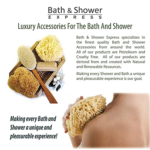 Sea Wool Sponge 5-6" (Large) by Bath & Shower Express ® Natural Renewable Resource, Esponja for Exfoliating and Washing Body