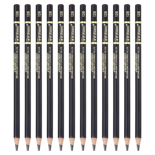 PATIKIL 12Pcs Drawing Pencils for Sketching, 12B Refill Sketch Pencils for Drawing, Graphite Art Pencil Set Professional Resistant Lead for Painting Shading Artist Office Supplies - size: 12B