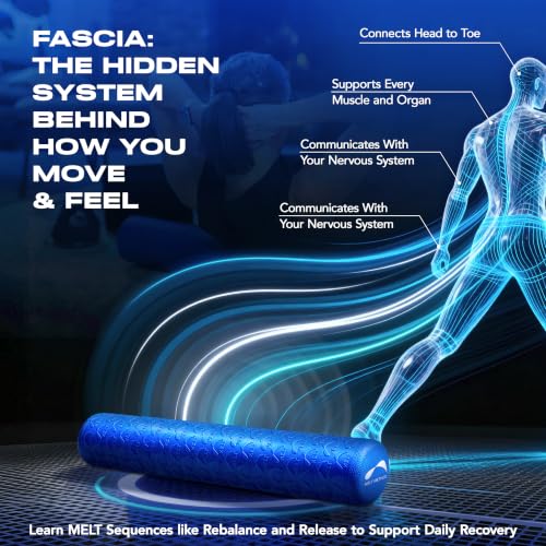 Melt 36-Inch Soft Foam Roller Myofascial Release Physical Therapy | Full Body Gentle Compression, Muscle Tension Relief, Posture Improvement, Nervous System Support