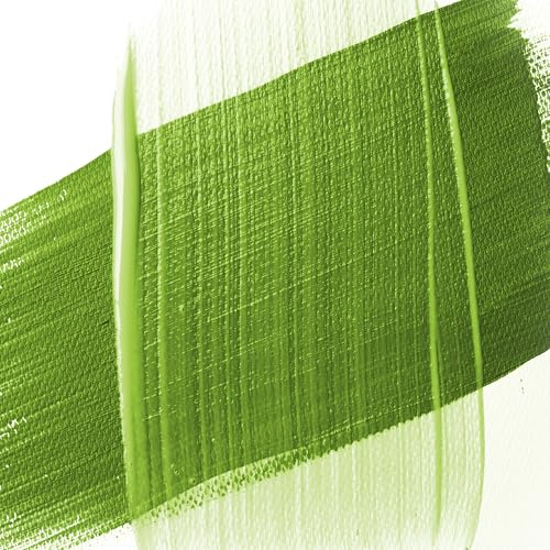 Liquitex Professional Fluid Medium, 473ml (16-oz), Glazing Medium | Increases Color Depth, Dries Quickly for Rapid Layering, Lowers Viscosity, Minimizes Brush Strokes, Maintains Paint Adhesion - color: Glazing, size: 16 Fl Oz (Pack of 1), style: 16-oz