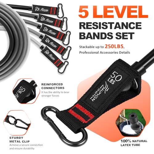 HPYGN Resistance Bands, Exercise Bands with Handles, Fitness Bands, Workout Bands with Door Anchor and Ankle Straps, for Heavy Resistance Training, Physical Therapy, Shape Body, Yoga, Home Workout Set - color: grey, style: 250LBS