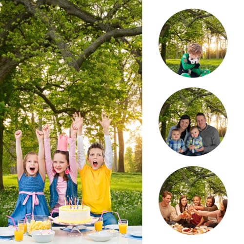 Tree Backdrop Garden Greenery Forest Green Spring Nature 8x6ft | Blooming Flower Field Grassland Sunlight Rural Scenery Photography Background Outdoor Camping Picnic Party Room Travel Decor - size: 8x6ft-polyester