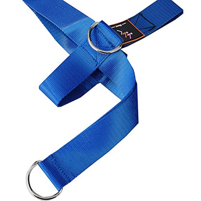 2-Pack Foot Strap for Cable Machine Fitness Attachment Shoe Workout Straps - color: Blue 2 Pack