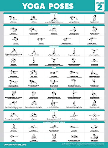 Palace Learning 4 Pack - Yoga Poses Poster Volume 1, 2 & 3 + Yoga Positions with Yoga Blocks - Beginner Yoga Position Exercise Charts - English and Sanskrit Names