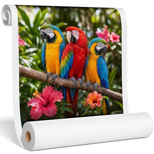 Matte Polyester Canvas Roll for Wide Format Printers, 24" x60', 290 GSM | Quick-dry and water-resistant for fine art, commercial printing, studio photography and gallery wraps, 15 mil with a 2" core - color: 1 roll, size: 24"x60' 290GSM