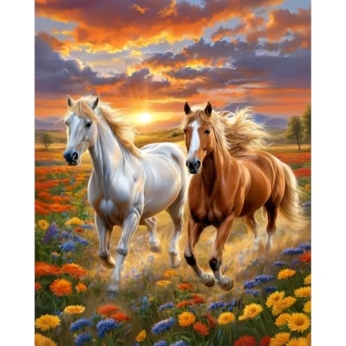 cviokrdu Horse Paint by Numbers for Adults-Horse Paint by Number on Canvas Without Frame, DIY Animal Oil Painting for Gift Home Wall Decor (16x20inch) - color: MT20931