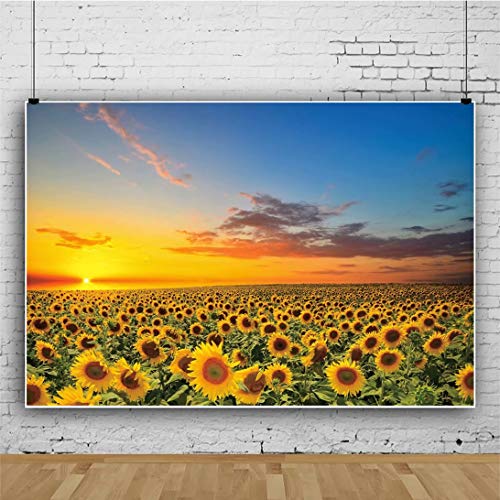 Sunflowers Field Backdrop for Photography Beautiful Rustic Sunset Yellow Florals Sky Photo Background Newborn Baby Birthday Party Supplies Boys Adults Portrait Decor Studio Props 9x6ft Vinyl - size: 9x6ft