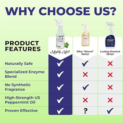 Mighty Mint Stain & Odor Remover, Natural Enzyme Spray Safely Neutralizes Odor and Stains from Dogs, Cats on Carpet, Furniture, Natural Peppermint Scent, 16oz
