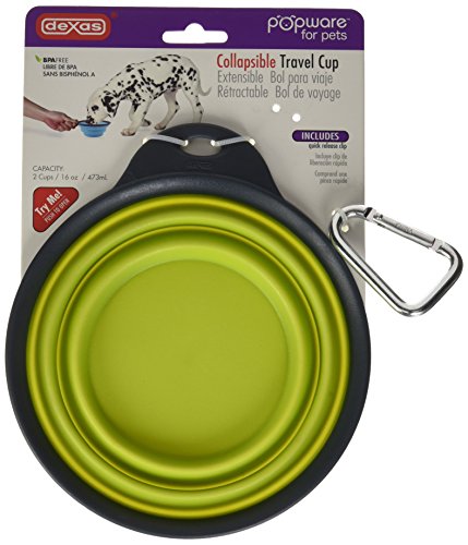 Dexas Popware for Pets Collapsible Travel Cup, Large, Gray/Green - color: Gray/Green, size: Large/2 Cup