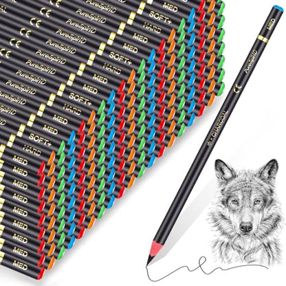 Resurhang 100 Pcs Charcoal Pencils Drawing Set, Charcoal Pencils bulk for Drawing Sketching Shading Blending Portrait Beginners and Artists(Black,Super Soft, Soft, Medium and Hard) - color: Black, style: Super Soft, Soft, Medium and Hard