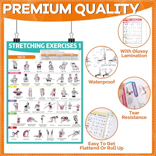 gisgfim 8PCS Workout Posters for Home Gym-Dumbbells, Bodyweight, Stretching, Kettlebell Exercise Chart Full Body Laminated Fitness Training Poster Muscle Engagement Chart Garage Accessories Wall Decor