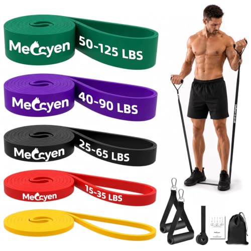 Resistance Bands Set,Exercise Bands with Handles&Door Anchor