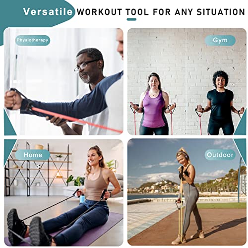 Resistance Bands with Handles, Exercise Bands with Handles, Door Anchor - color: blue-40lbs