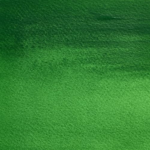 Winsor & Newton Professional Watercolour Revival, 5ml Tube, Cinnabar Green | Unrivalled Transparency, Single Pigment Vibrant Colors, Archival Permanence, Heritage Watercolors, Finest Pigments - color: Cinnabar Green, style: 0.17-oz Tube
