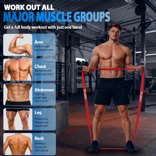 LEEKEY Resistance Bands for Pull Up Assist, Exercise & Workout Bands Set - color: 5-85LBS COLOR