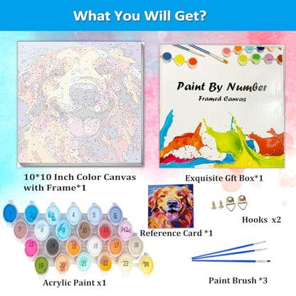 Artunion Framed Paint by Numbers Kit for Adults Beginners & Kids Ages 8-12,Golden Retriever Paint by Number with Frame,Dog Paint by Numbers Kit on Canvas 10 * 10 Inch Without Easel - color: ZXT-181-F