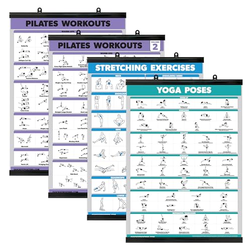 Palace Learning 4 Pack - Pilates Workout Volume 1 & 2 + Stretching + Yoga Poses - Exercise Poster Set (18" x 24", LAMINATED with Plastic Frame) - style: WITH PLASTIC FRAME