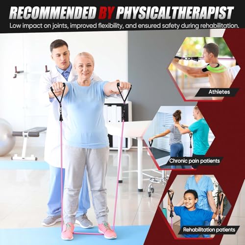 HPYGN Resistance Bands, Exercise Bands for Working Out, Workout Bands Men, Fitness Band with Handle, Door Anchor, Home Gym Equipment for Musle Training, Physical Therapy, Strength Training, Shape Body