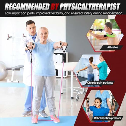 HPYGN Resistance Bands, Exercise Bands for Working Out, Workout Bands Men, Fitness Band with Handle, Door Anchor, Home Gym Equipment for Musle Training, Physical Therapy, Strength Training, Shape Body