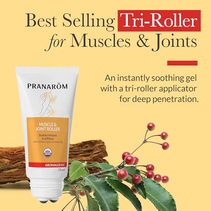 Pranarom - Aromalgesic Muscle & Joint Roller 75ml - Active Individuals- Tri-Roller Applicator, Essential Oil Blend, Organic Non-Greasy Formula, Relaxation, Meditation | Wintergreen, clove, cinnamon bark and tamanu oil gel with tri-roller applicator. Non-g
