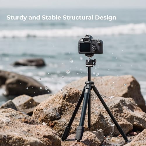 72" Travel Tripod for Camera and Phone, Lightweight Aluminum Tripod with Arca Ball Head, Phone Holder, Quick-Release Plate, Wireless Remote & Carry Bag for DSLR Smartphone Video Recording