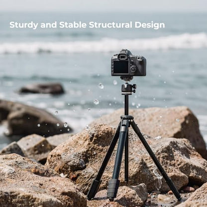 72" Travel Tripod for Camera and Phone, Lightweight Aluminum Tripod with Arca Ball Head, Phone Holder, Quick-Release Plate, Wireless Remote & Carry Bag for DSLR Smartphone Video Recording