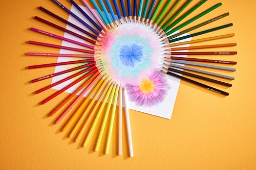 Faber-Castell Classic Colored Pencils Tin Set, 48 Vibrant Colors In Sturdy Metal Case | Back to School Supplies - style: 48 Count Drawing & Sketching