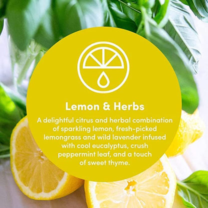 Clean Revolution Multi-Surface Cleaner Refill Supply | Non-Toxic, Eco-Friendly & Plant-Based | Ready To Use | Lemon & Herbs | 128 Fl Oz, 4 Pack, 512 Total Fl Oz - size: 128 Fl Oz (Pack of 4)