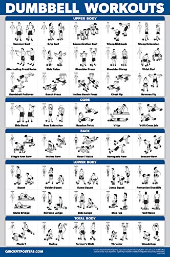 Palace Learning 3 Pack - Suspension Workout Posters - Volume 1 & 2 + Dumbbell Exercises Poster Set - Set of 3 Workout Charts