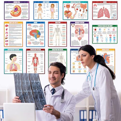 14Pcs Human Anatomy Posters Educational Learn Body Parts physiology study charts Wall Art Print Classroom Decorations for Kids Primary Middle High School Curriculum Homeschool Activity 11 x 14.7 In