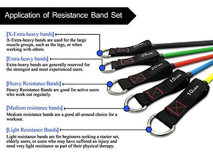 TheFitLife Resistance Bands Set with Handles, Door Anchor and Ankle Straps | Workout Bands for Muscle Strength Training, Home Gym Fitness, Full Body Exercise for Men, Women, Pilate, and Physical Therapy