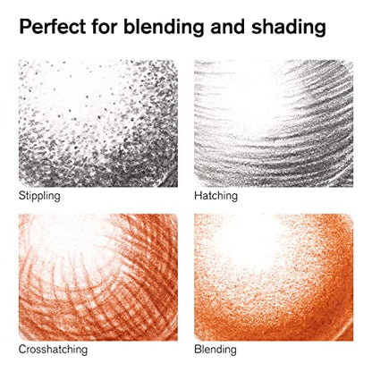 Winsor & Newton Studio Collection, Sketching Pencils, Set of 10 | Soft, Thick Core pencils, Varied Hardness, Soft Smooth Texture, Easy Blending, Stylish Metal Tin Included, High Quality Lead - style: 10 Sketching Pencils