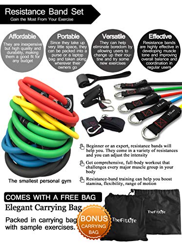 TheFitLife Resistance Bands Set with Handles, Door Anchor and Ankle Straps | Workout Bands for Muscle Strength Training, Home Gym Fitness, Full Body Exercise for Men, Women, Pilate, and Physical Therapy