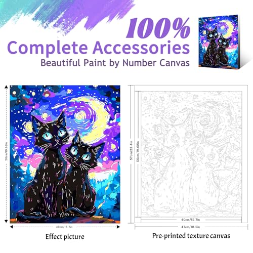 Yunnuo Paint by Numbers Kit for Adults Beginner,Two Black Cats Paint by Numbers, Starry Night Cat Number Painting Suitable for Home Wall Decoration and Gifts (16x20 Inch) - color: A-003-Starry Night Cat