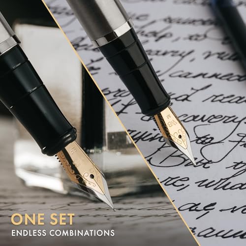 Wordsworth & Black Fountain Pen Gift Set, Medium & Extra Fine Nib, Silver | For Men & Women, Brass Body, 18K German Iridium, Ink Bottle + 6 Cartridges, Converter, Writing & Calligraphy, Journaling - color: Silver Chrome