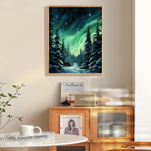 Paint by Numbers Kit for Adults Beginner, Aurora Adult Paint by Number Kits on Canvas Without Frame, Forest Oil Painting by Numbers for Home Decor Gift 16” W x 20”L - color: LOP0725, size: Frameless