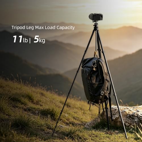 72" Travel Tripod for Camera and Phone, Lightweight Aluminum Tripod with Arca Ball Head, Phone Holder, Quick-Release Plate, Wireless Remote & Carry Bag for DSLR Smartphone Video Recording