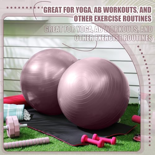 Leyndo 4 Pcs 26 Inch Yoga Exercise Ball Pilates - color: Rose Color