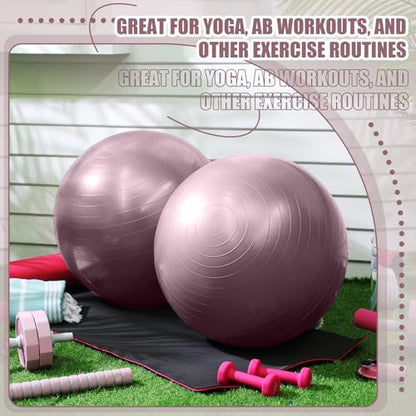 Leyndo 4 Pcs 26 Inch Yoga Exercise Ball Pilates - color: Rose Color