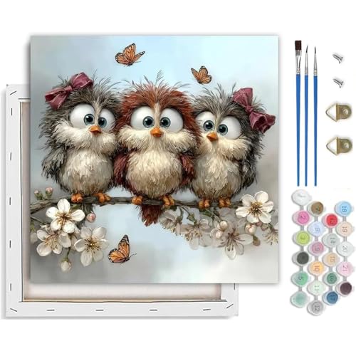TCDZMYGS Paint by Numbers Kit for Adults,Owl DIY Paint by Number with Frame | Paint by Number for Beginner,Adult Paint by Number,HD Color Canvas,DIY Tool Kits,Stress Relief Craft,Great Gift,10X10 inch - color: Multi-colored