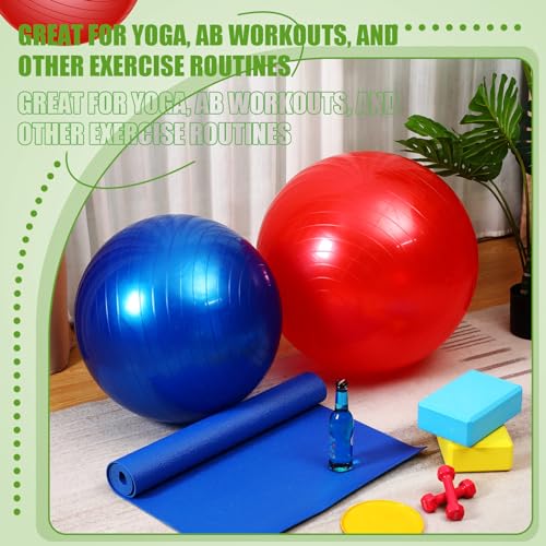 Leyndo 4 Pcs 26 Inch Yoga Exercise Ball Pilates - color: Bright Color