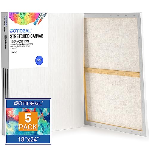 GOTIDEAL Stretched Canvases for Painting, 18x24 Inch Set of 5 | Primed White, 100% Cotton Blank Art Canvas Boards for Painting for Acrylic Pouring, Oil Paint Dry & Wet Art Media - color: White, size: 18"x24"