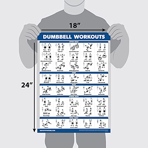 Palace Learning 4 Pack - Dumbbell Workouts + Bodyweight Workouts + Stretching Exercises + Pilates - Set of 4 Workout Charts (18” x 24”, LAMINATED)