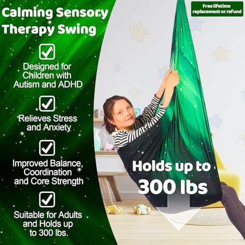 HiCamer Sensory Swing for Kids Indoor and Outdoor Therapy Cuddle - color: Space Green