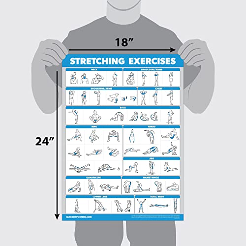QuickFit 2 Pack - Stretching Exercise Poster - Laminated 18" x 24" & Bodyweight Exercise Playing Cards - 2.5" x 3.5"
