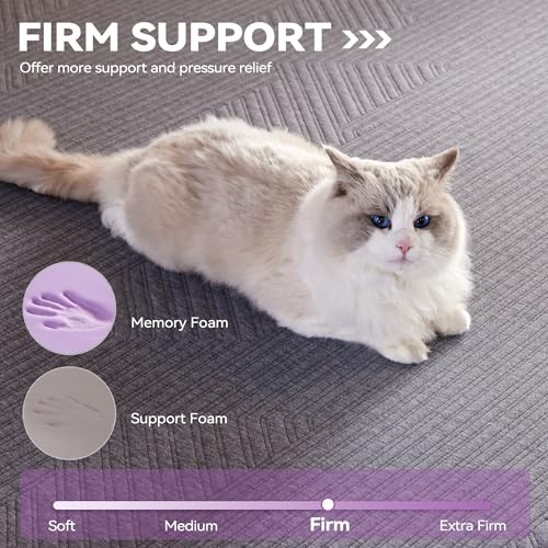 BDEUS 3.8 inch Extra Firm Memory Foam Mattress Topper Queen Size for Big Guys, Supportive Mattress Pad for Back Pain Relief, Firm Foam Bed Topper with Senior Grey Cover, 60 × 80 Inch - size: Queen, style: 3.8 inch