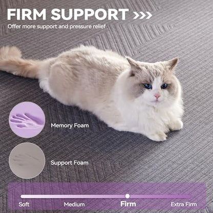 BDEUS 3.8 inch Extra Firm Memory Foam Mattress Topper Queen Size for Big Guys, Supportive Mattress Pad for Back Pain Relief, Firm Foam Bed Topper with Senior Grey Cover, 60 × 80 Inch - size: Queen, style: 3.8 inch