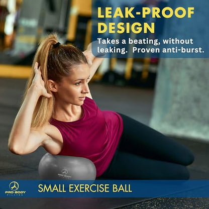 ProBody Pilates Ball Small with Pump - 9 Inch Small Exercise Ball - color: Silver