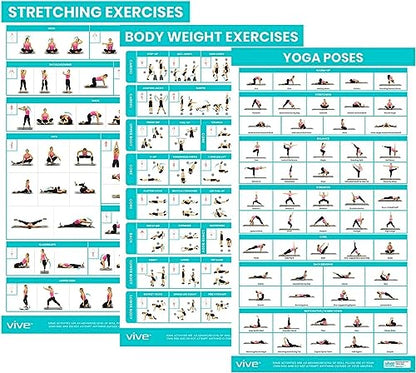 Vive Workout Posters for Home Gym (3 Pack) - Bodyweight, Yoga Poses